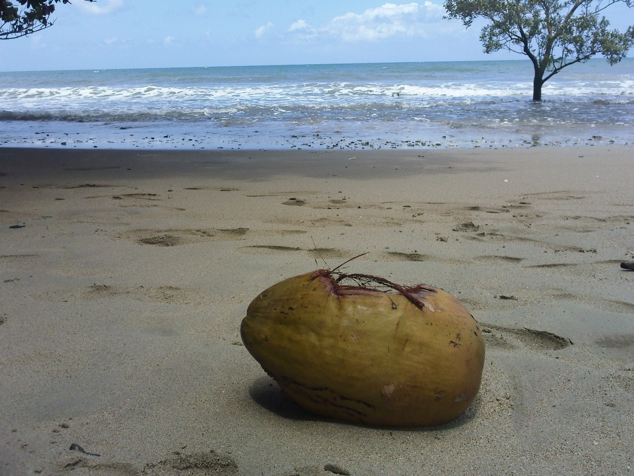 Page suivante cape tribulation